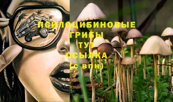 кокс Алексеевка