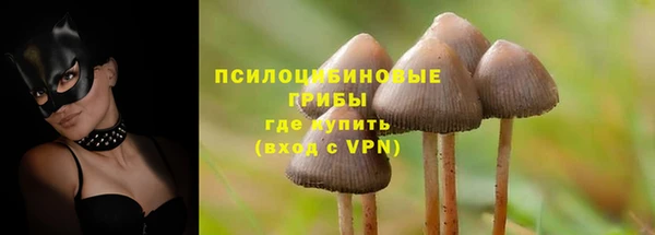 кокс Алексеевка