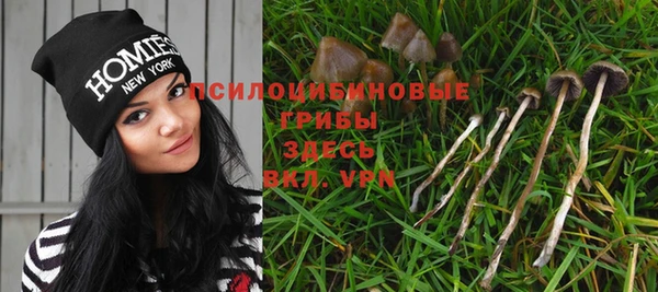 дурь Алексин