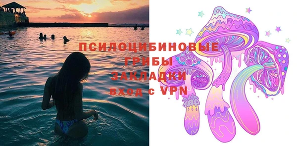 МДПВ Алзамай