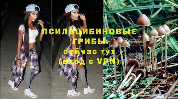 дурь Алексин