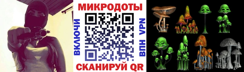 продажа наркотиков  OMG зеркало  Галлюциногенные грибы Cubensis  Томари 